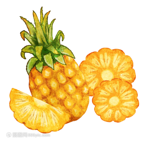 手繪菠蘿 水果還是蔬菜的藝術(shù)探索