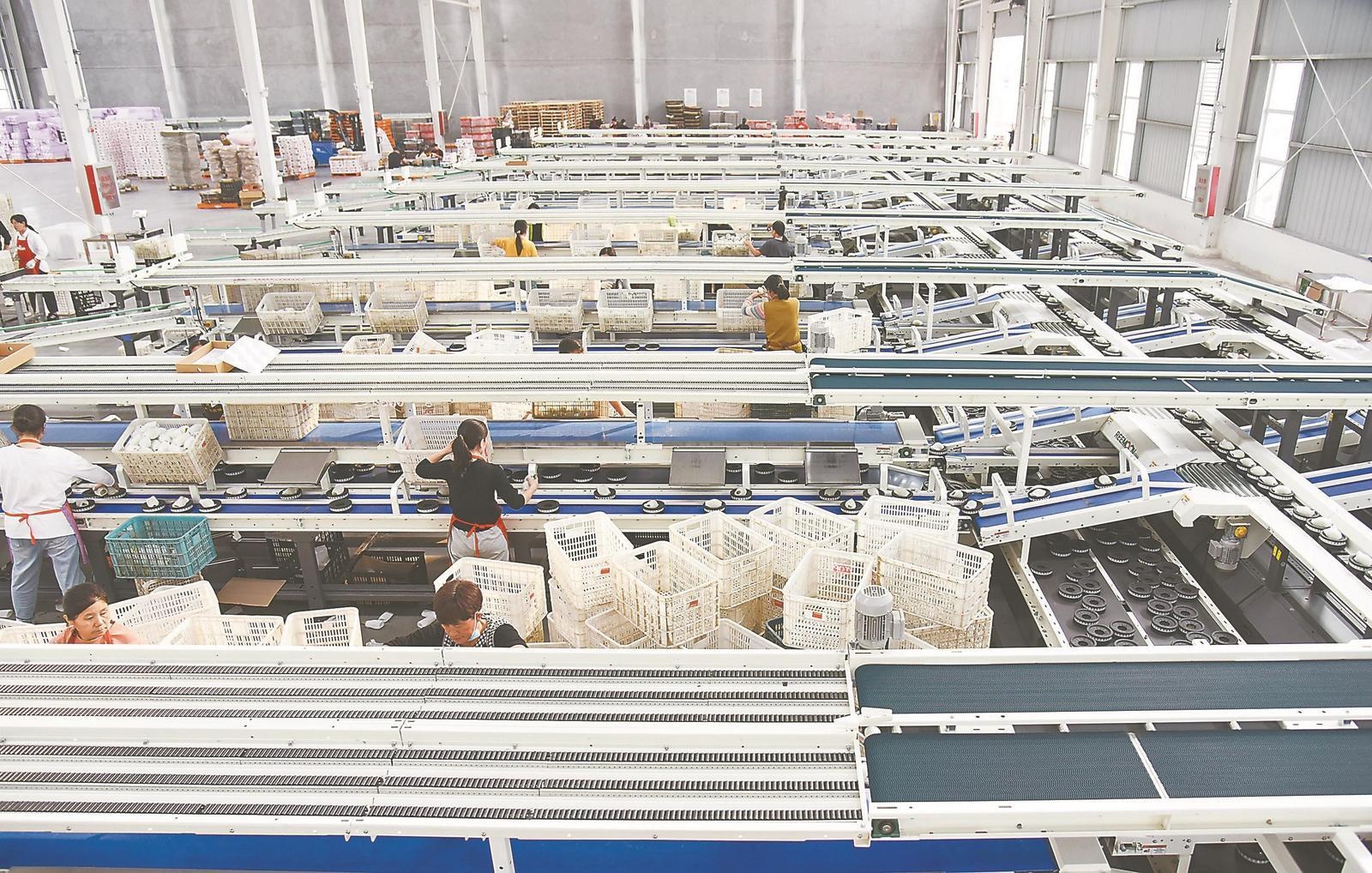 人工智能助力企業蔬菜生產 技術革新與未來前景